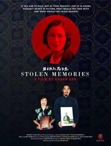 Stolen Memories (2012)