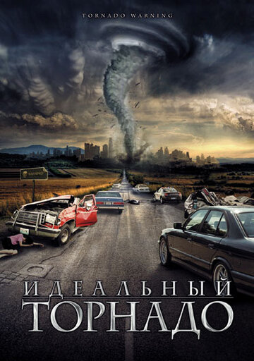 Идеальный торнадо (2002)