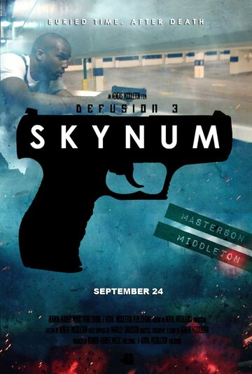 Defusion 3: Skynum (2013)